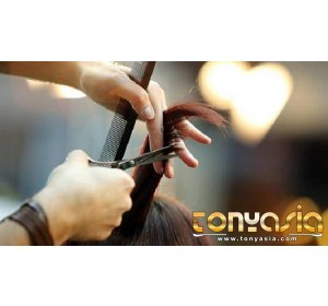 3 Cara Ampuh Atasi Permasalahan Rambut Patah-Patah | Casino online | Casino Online Indonesia